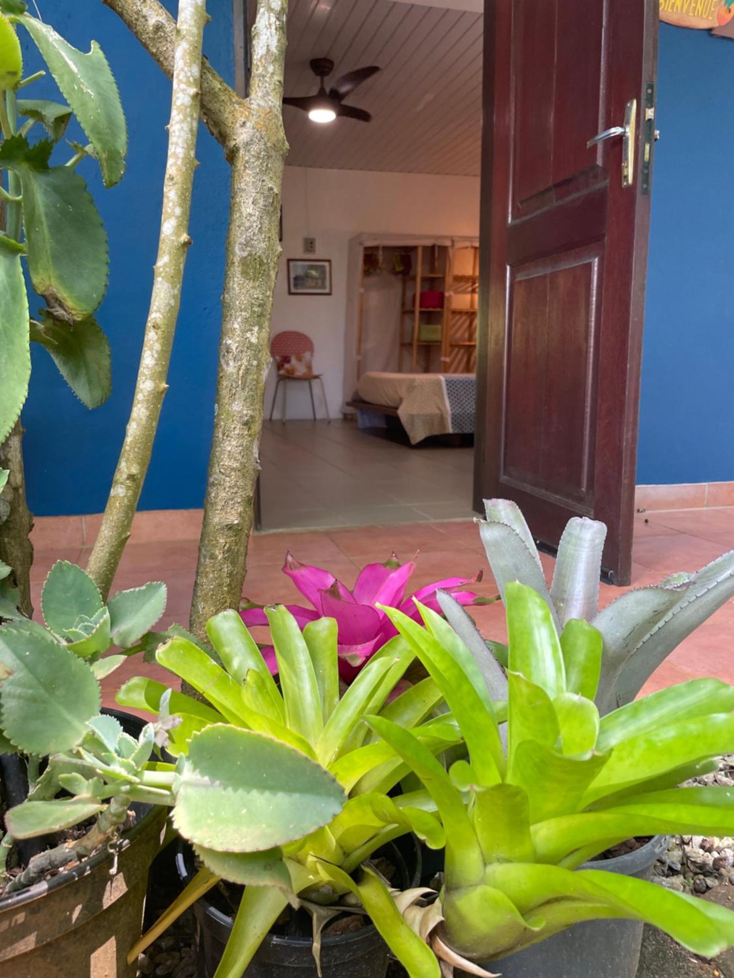 Ferienwohnung Ti Kaz Dan Bwa Cayenne Exterior foto